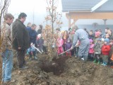 Baerendorf<p>Plantation pédagogique avec les élèves de l'école